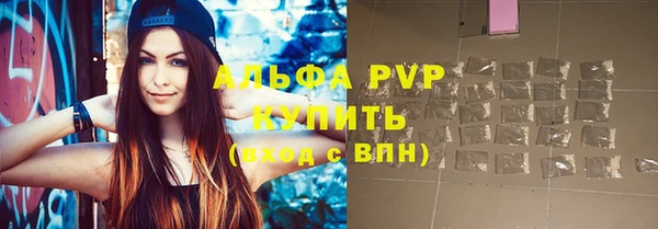 ешки Белокуриха