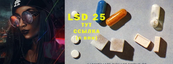ешки Белокуриха