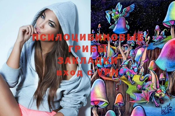 спиды Беломорск