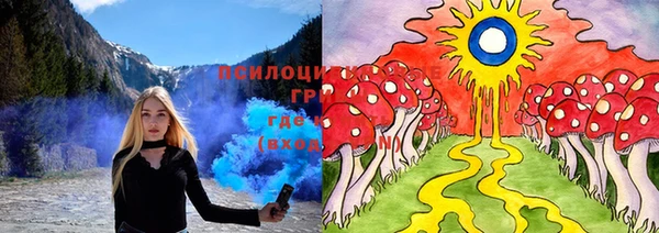 ешки Белокуриха