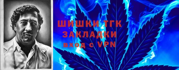 ешки Белокуриха